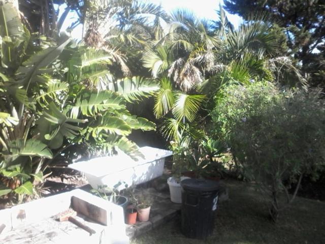 Self Catering Unit 7, Sandbaai Hermanus Luaran gambar
