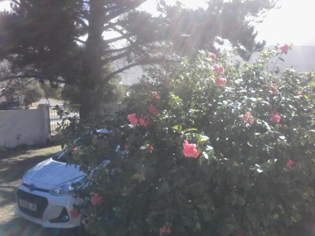 Self Catering Unit 7, Sandbaai Hermanus Luaran gambar