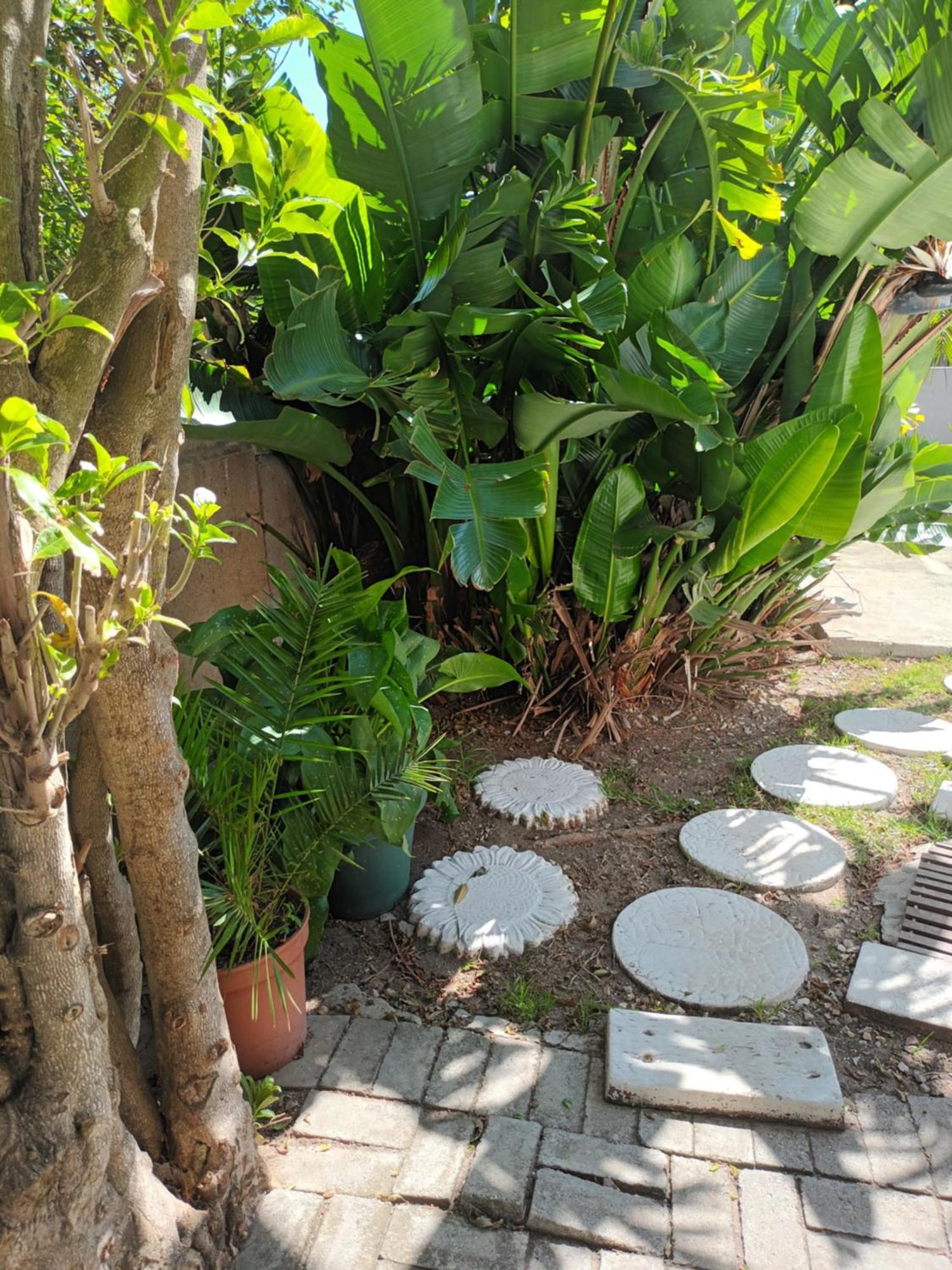 Self Catering Unit 7, Sandbaai Hermanus Bilik gambar